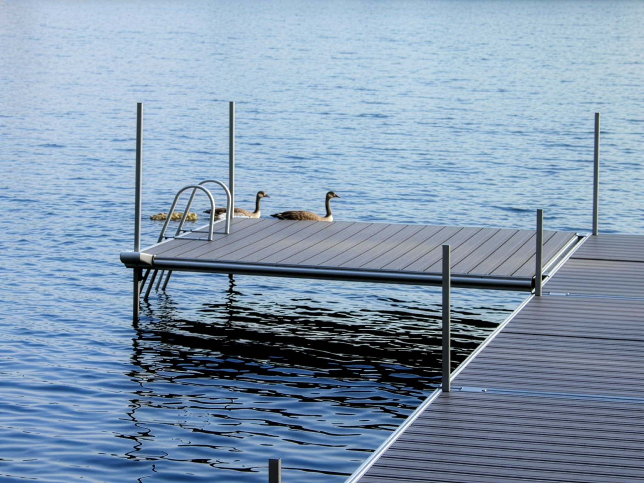 TechniDock aluminum composite dock with swim ladder and geese resting on calm lake